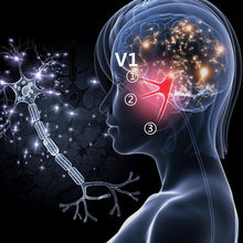 Charger l'image dans la galerie, Masseur électrique de tête pour Soulagement du Stress Massage Et Relaxation